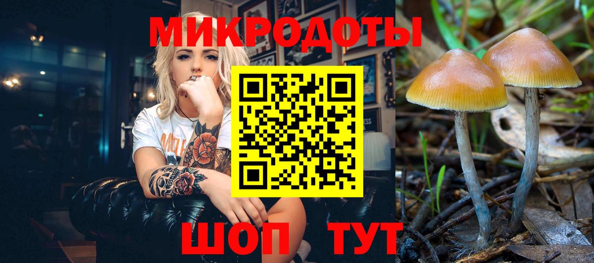 Псилоцибиновые грибы Psilocybe  Вход с VPN  Аксай 
